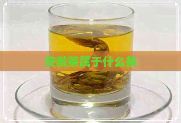 安徽茶属于什么茶