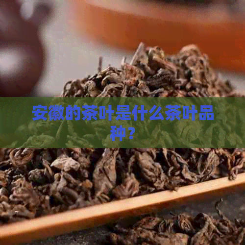 安徽的茶叶是什么茶叶品种？