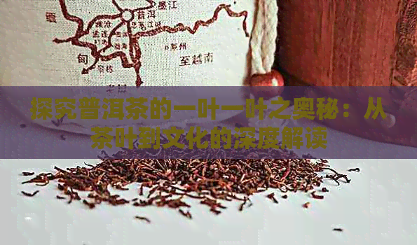 探究普洱茶的一叶一叶之奥秘：从茶叶到文化的深度解读