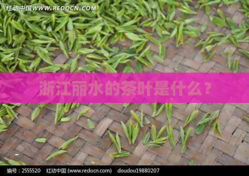 浙江丽水的茶叶是什么？