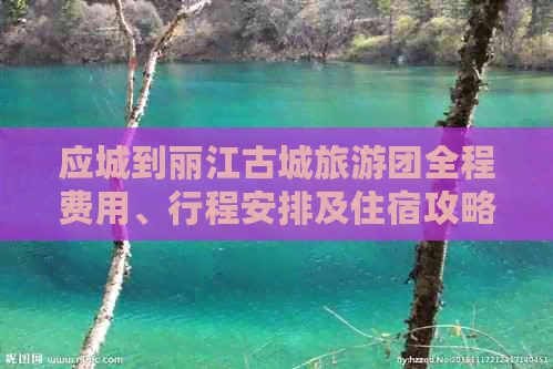 应城到丽江古城旅游团全程费用、行程安排及住宿攻略，让旅行更省心！