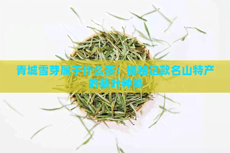 青城雪芽属于什么茶：揭秘这款名山特产的茶叶种类