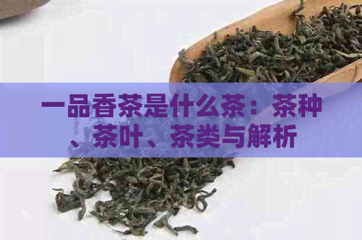 一品香茶是什么茶：茶种、茶叶、茶类与解析