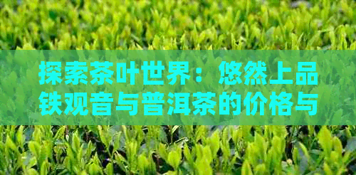 探索茶叶世界：悠然上品铁观音与普洱茶的价格与口感差异