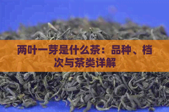 两叶一芽是什么茶：品种、档次与茶类详解