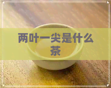 两叶一尖是什么茶