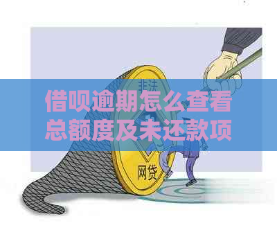 借呗逾期怎么查看总额度及未还款项