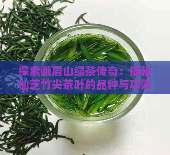 探索峨眉山绿茶传奇：揭秘仙芝竹尖茶叶的品种与功效