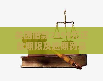 美团借款2359元还款期限及逾期罚息解读