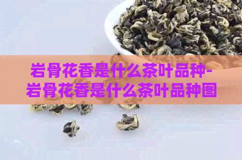 岩骨花香是什么茶叶品种-岩骨花香是什么茶叶品种图片