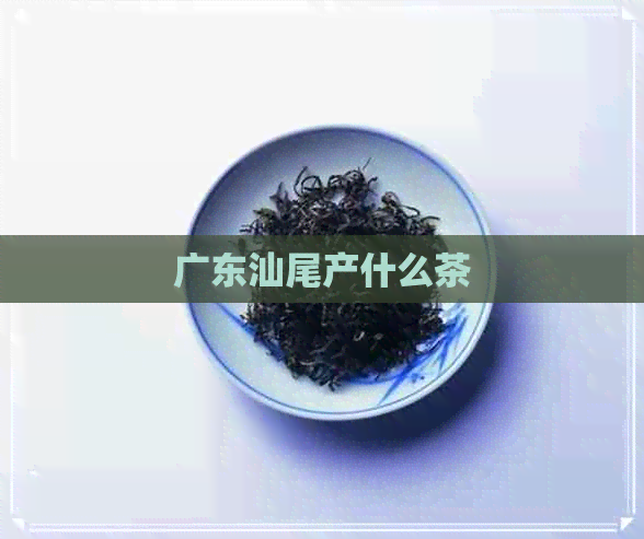 广东汕尾产什么茶