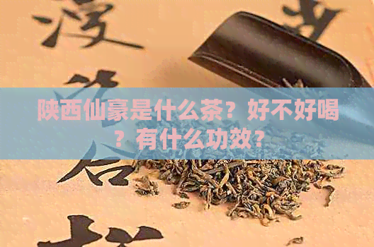 陕西仙豪是什么茶？好不好喝？有什么功效？