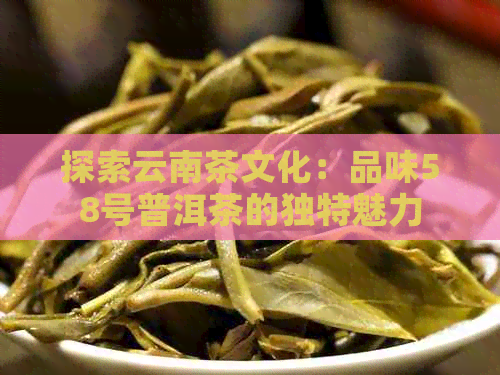 探索云南茶文化：品味58号普洱茶的独特魅力