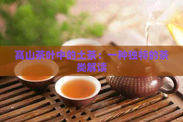 高山茶叶中的土茶：一种独特的茶类解读