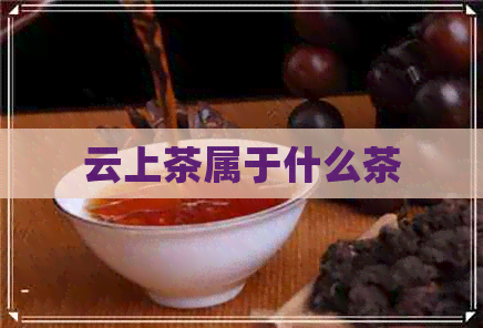 云上茶属于什么茶