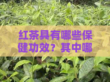 红茶具有哪些保健功效？其中哪种？同时还有哪些作用？