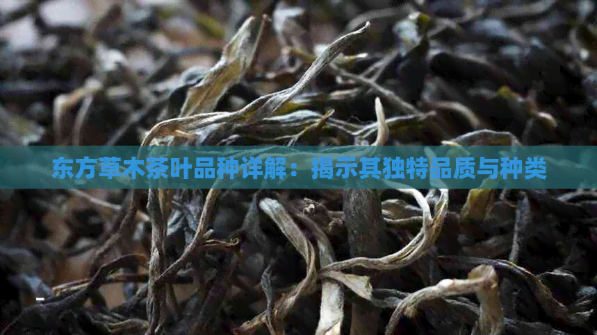 东方草木茶叶品种详解：揭示其独特品质与种类