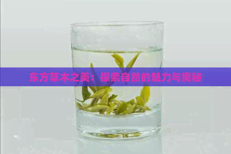 东方草木之美：探索自然的魅力与奥秘