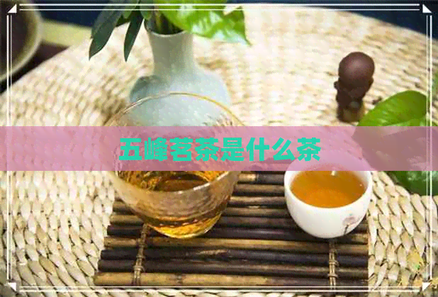 五峰茗茶是什么茶