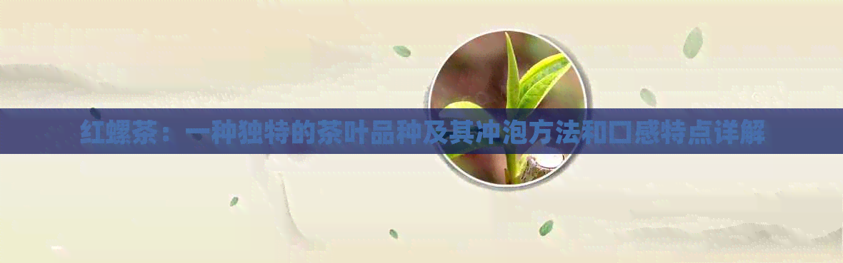 红螺茶：一种独特的茶叶品种及其冲泡方法和口感特点详解