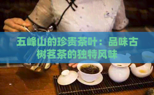 五峰山的珍贵茶叶：品味古树茗茶的独特风味