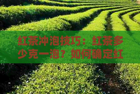 红茶冲泡技巧：红茶多少克一泡？如何确定红茶的冲泡量和水量。