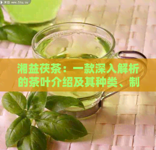 湘益茯茶：一款深入解析的茶叶介绍及其种类、制作工艺和功效