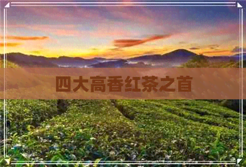 四大高香红茶之首