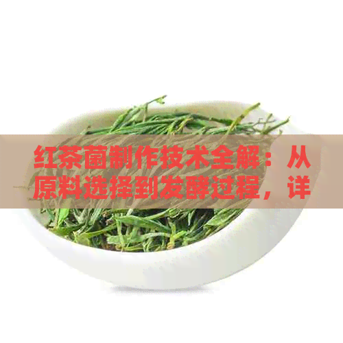 红茶菌制作技术全解：从原料选择到发酵过程，详尽步骤与注意事项一网打尽