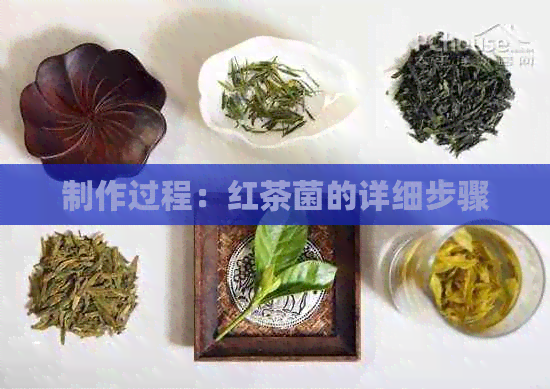 制作过程：红茶菌的详细步骤