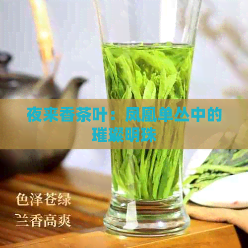 夜来香茶叶：凤凰单丛中的璀璨明珠