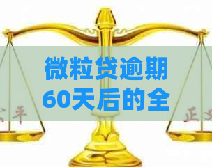 微粒贷逾期60天后的全额还款及后续处理策略解析，用户必看！