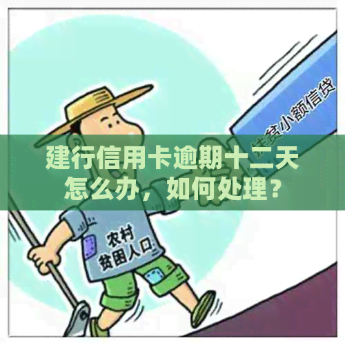 建行信用卡逾期十二天怎么办，如何处理？