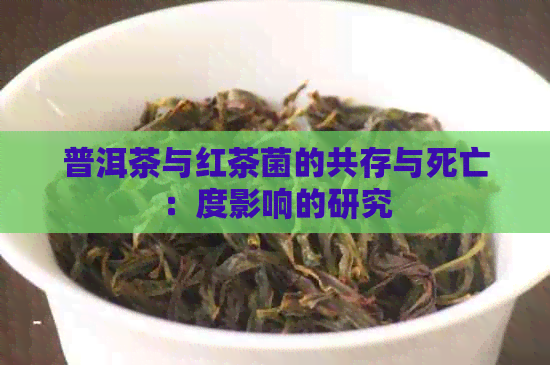 普洱茶与红茶菌的共存与死亡：度影响的研究