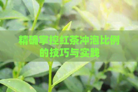 精确掌控红茶冲泡比例的技巧与实践