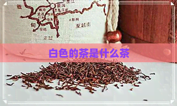 白色的茶是什么茶