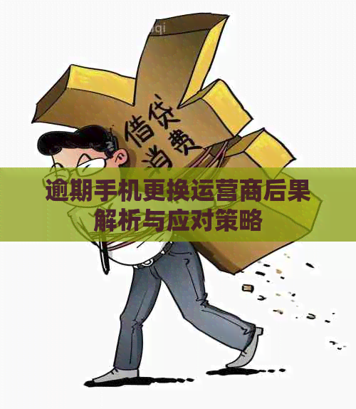 逾期手机更换运营商后果解析与应对策略