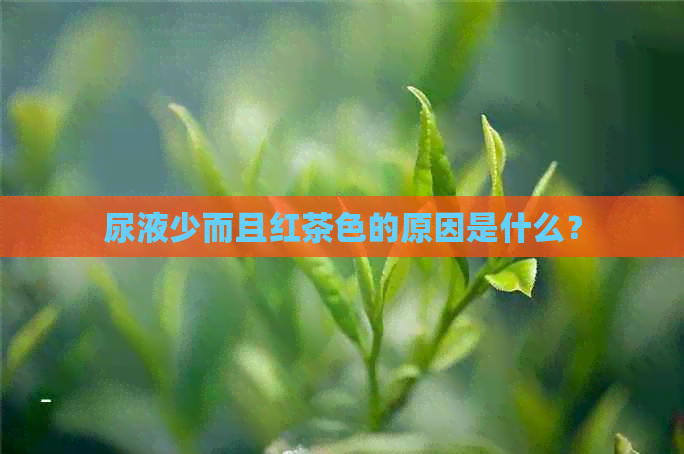 尿液少而且红茶色的原因是什么？