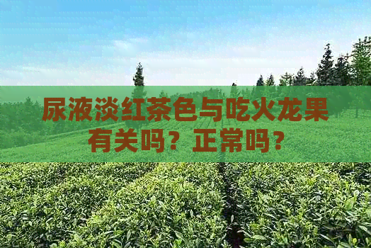 尿液淡红茶色与吃火龙果有关吗？正常吗？