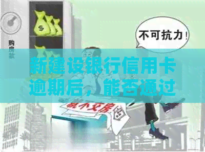 新建设银行信用卡逾期后，能否通过协商方式仅还本金？