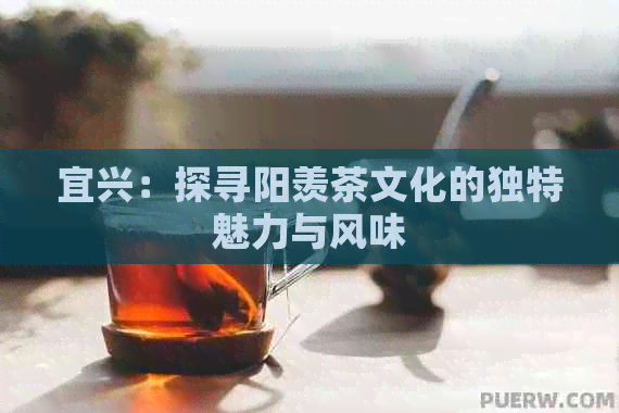 宜兴：探寻阳羡茶文化的独特魅力与风味