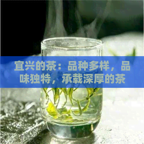 宜兴的茶：品种多样，品味独特，承载深厚的茶文化与工艺精髓的茶壶