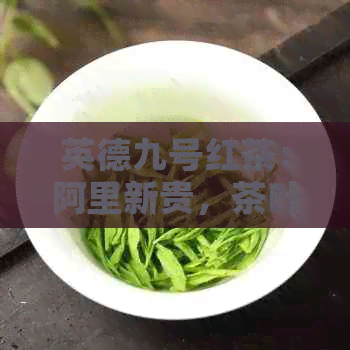 英德九号红茶：阿里新贵，茶叶批发价优势尽显