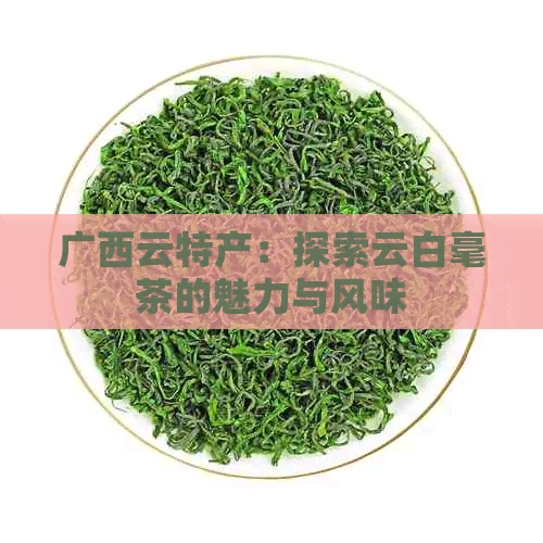 广西云特产：探索云白毫茶的魅力与风味