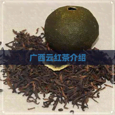 广西云红茶介绍