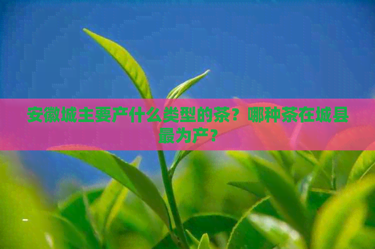 安徽城主要产什么类型的茶？哪种茶在城县最为产？