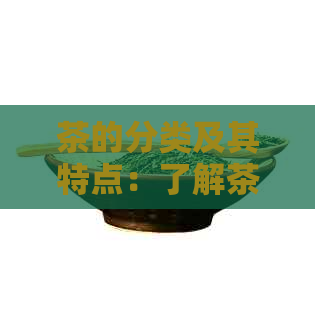 茶的分类及其特点：了解茶的多元面貌