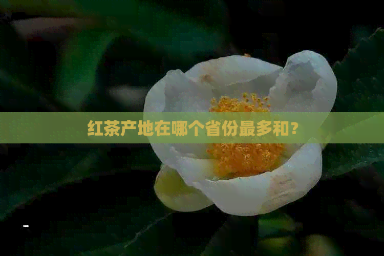 红茶产地在哪个省份最多和？