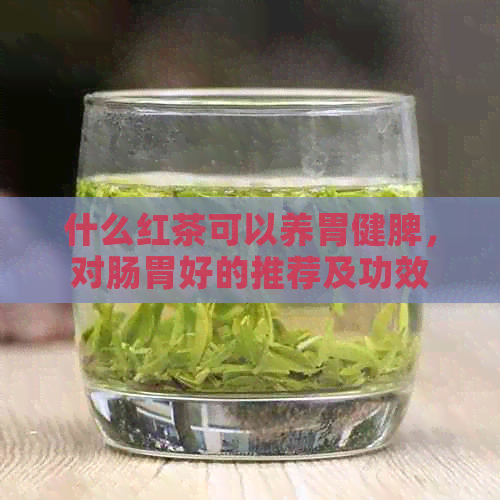 什么红茶可以养胃健脾，对肠胃好的推荐及功效