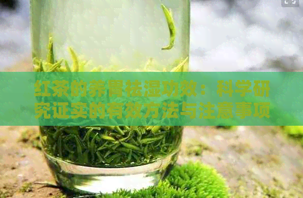 红茶的养胃祛湿功效：科学研究证实的有效方法与注意事项